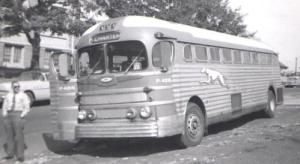 greyhound_1954499x274